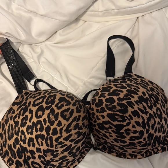 Fancy Printed Padded Bra for Women