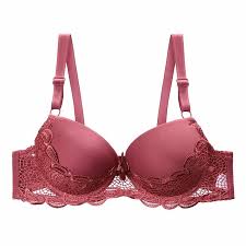 Lace Bra & Fancy Bra